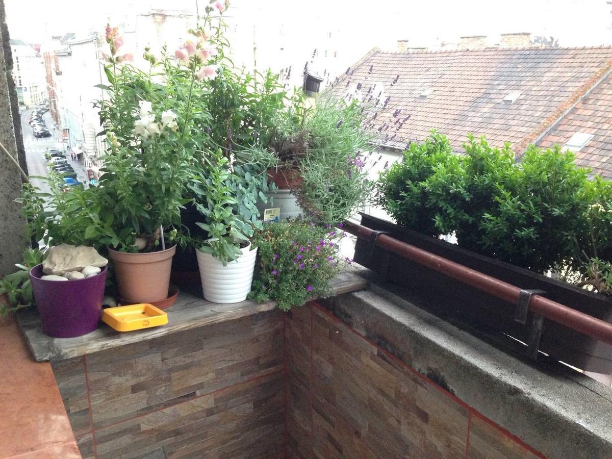 Lonyay Street Apartment Budapest Bagian luar foto